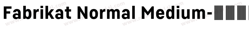 Fabrikat Normal Medium字体转换